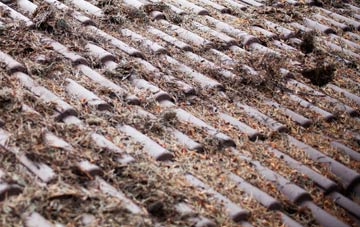 Cowthorpe roof cleaning companies