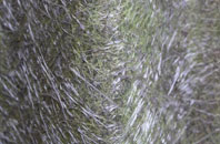 Cowthorpe fibreglass roof work